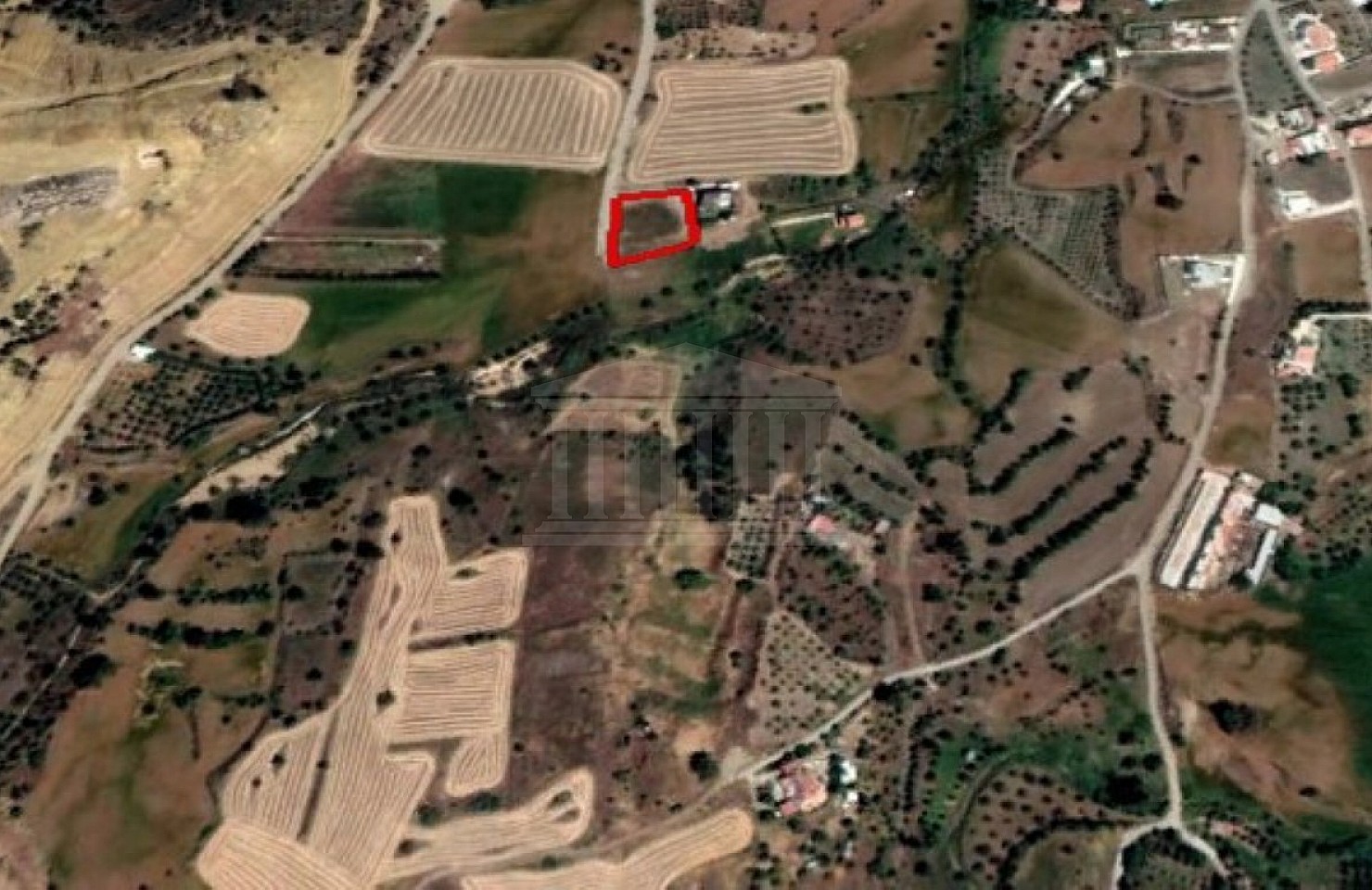 Field in Mitsero, Nicosia