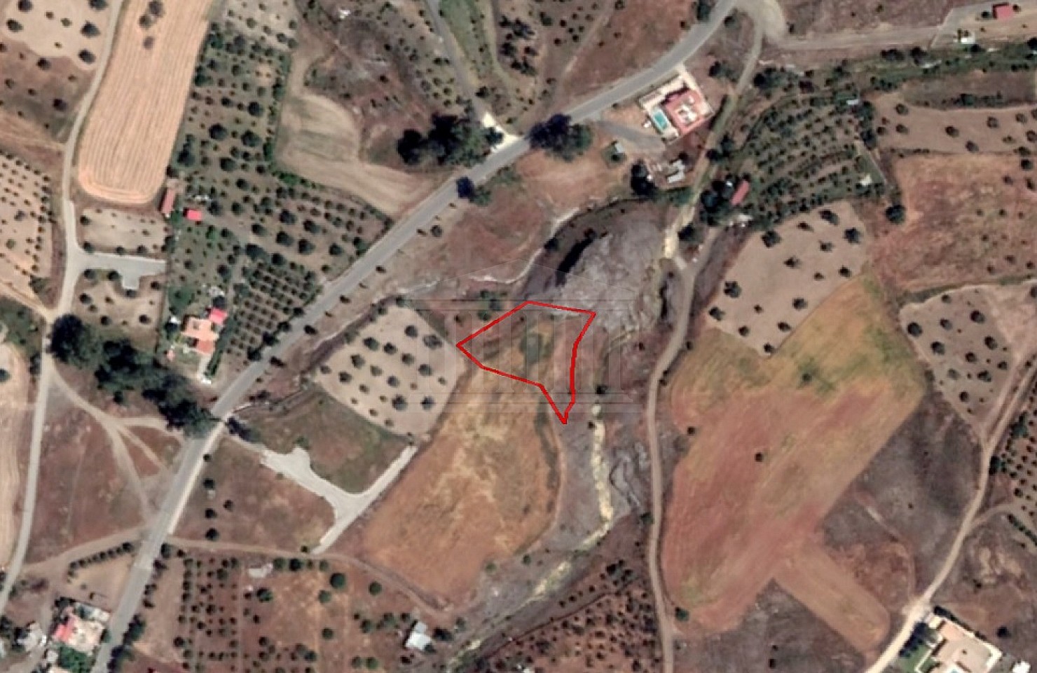 Field in Analiontas, Nicosia