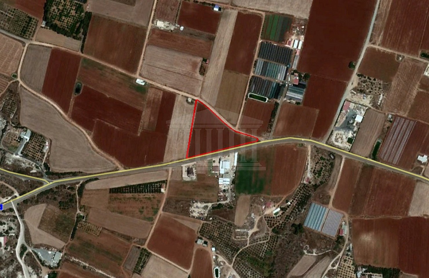 Field in Ormideia, Larnaka