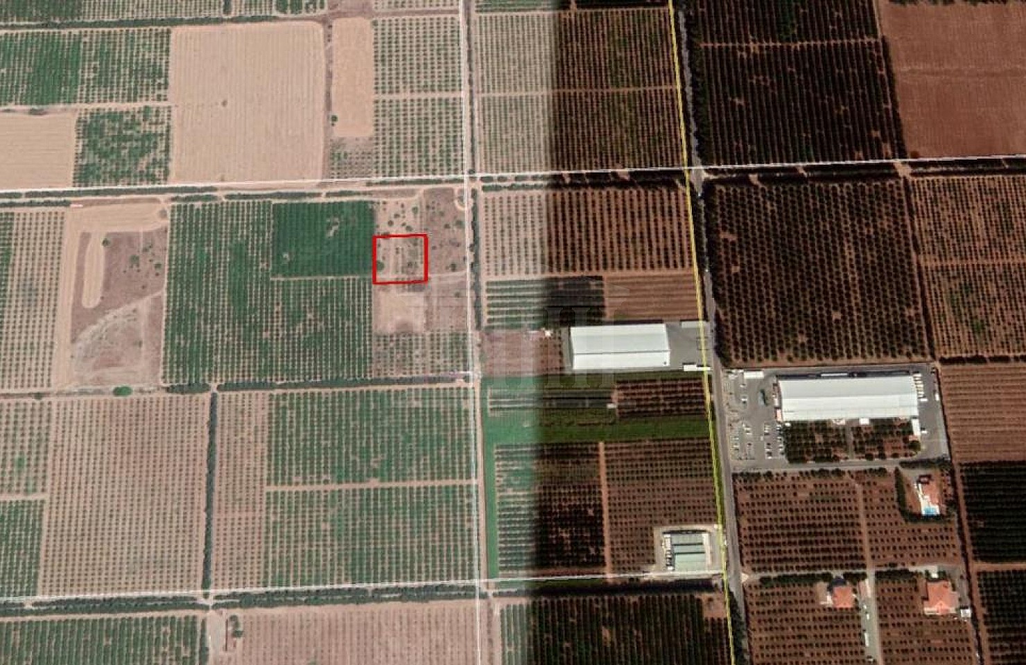 Field in Akrotiri, Limassol