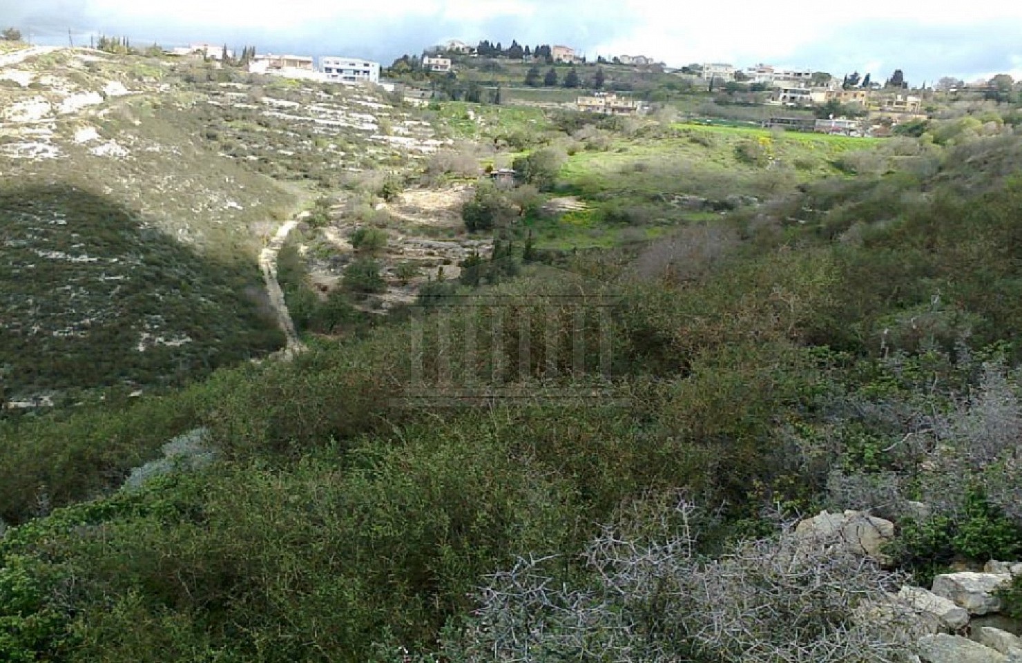 Four Fields in Tsada, Paphos