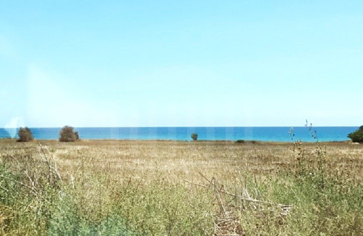 Seafront Fields in Mazotos