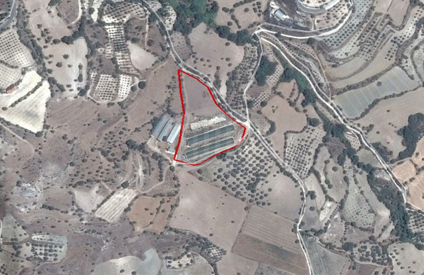 Field in Kritou Marotou, Paphos