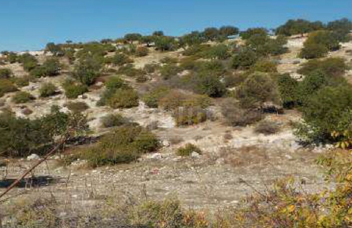 Field in Peristerona, Paphos