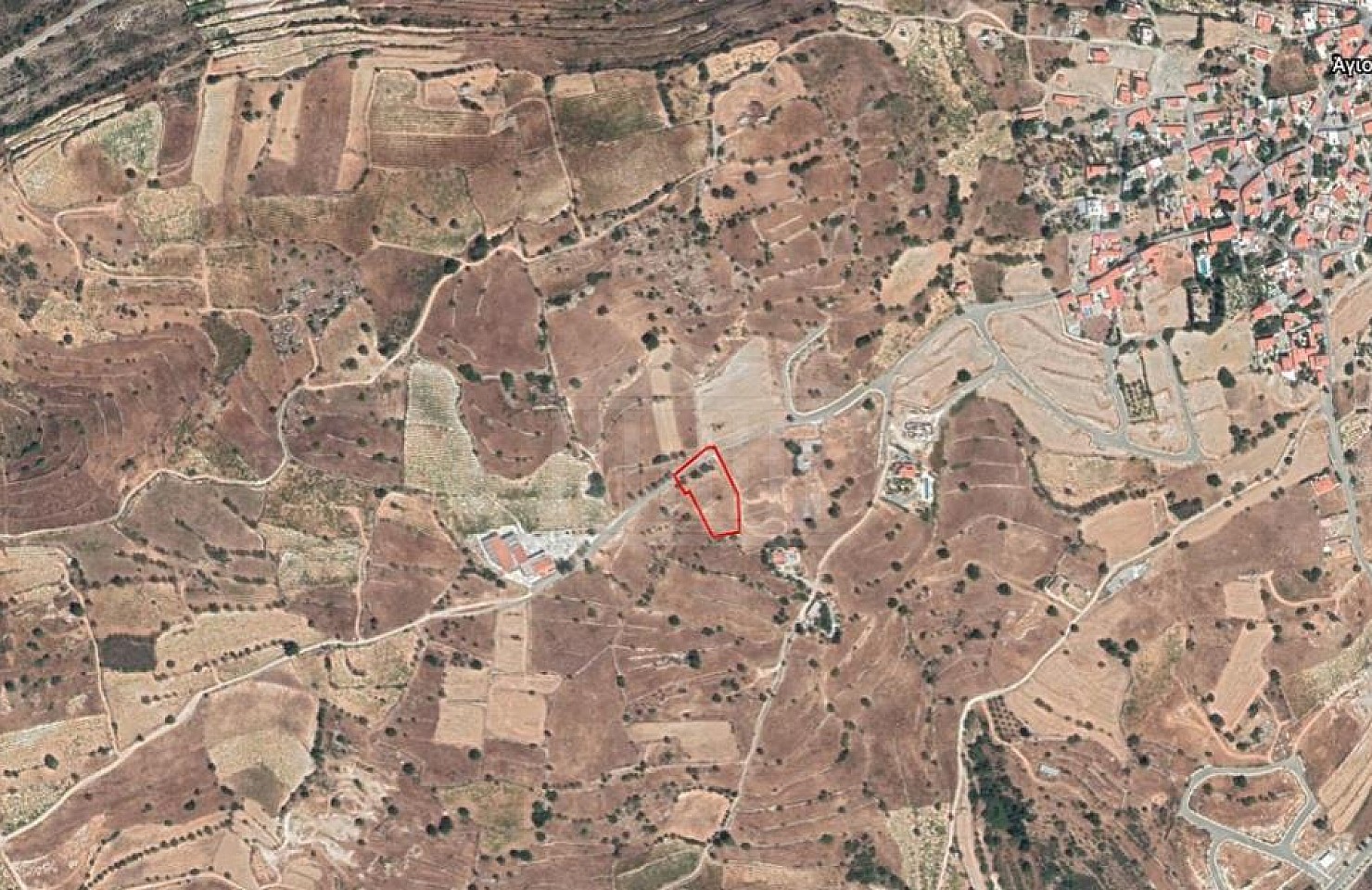 Field in Pachna, Limassol