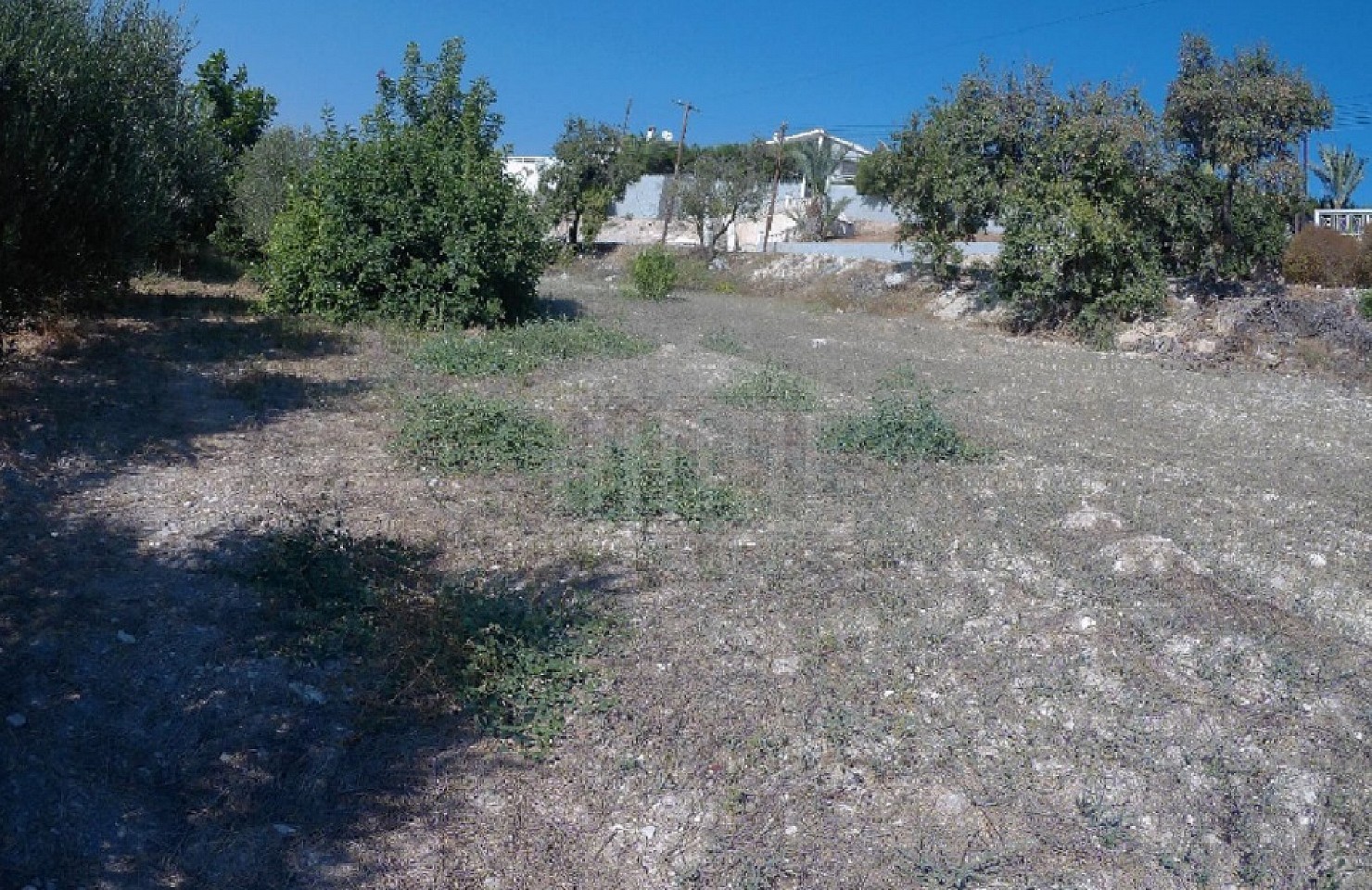 Field in Agios Tychonas, Limassol