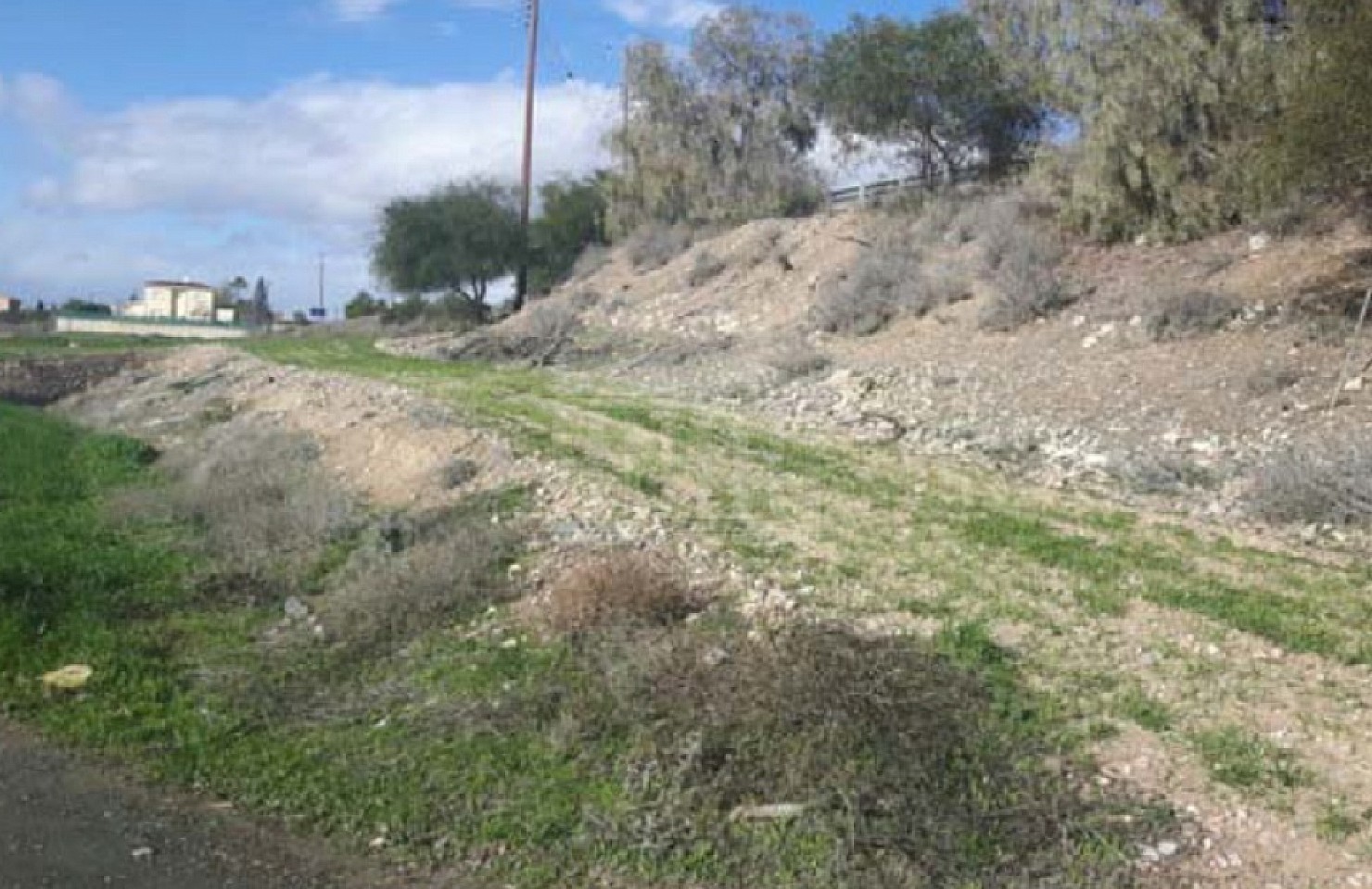 Three Fields in Lympia, Nicosia