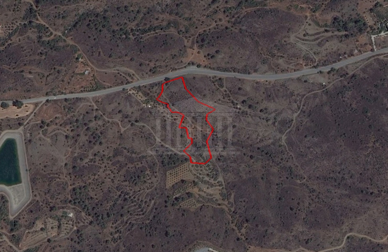 Share of Field in Eptagoneia, Limassol