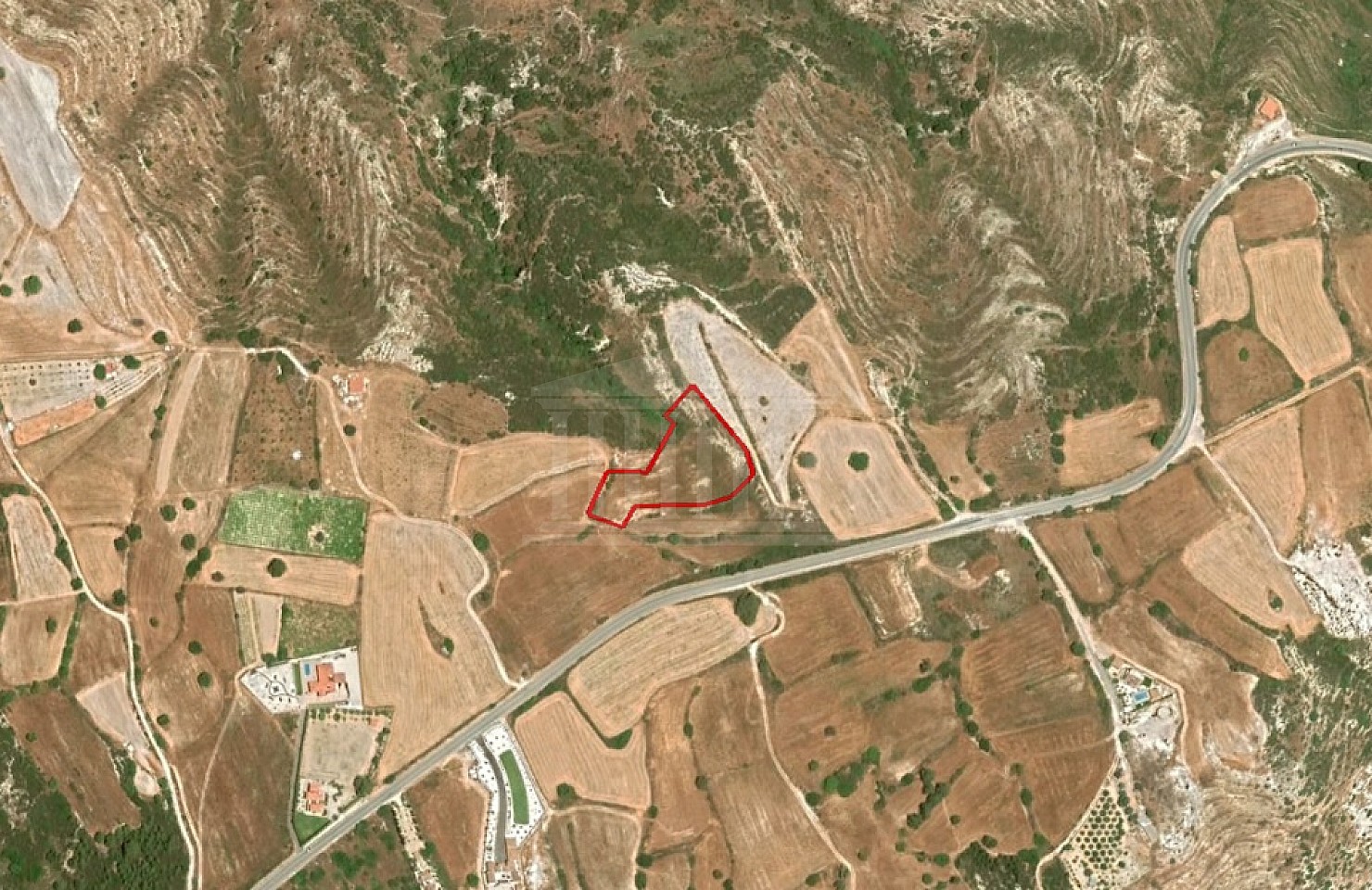 Share of Field in Pegeia, Paphos