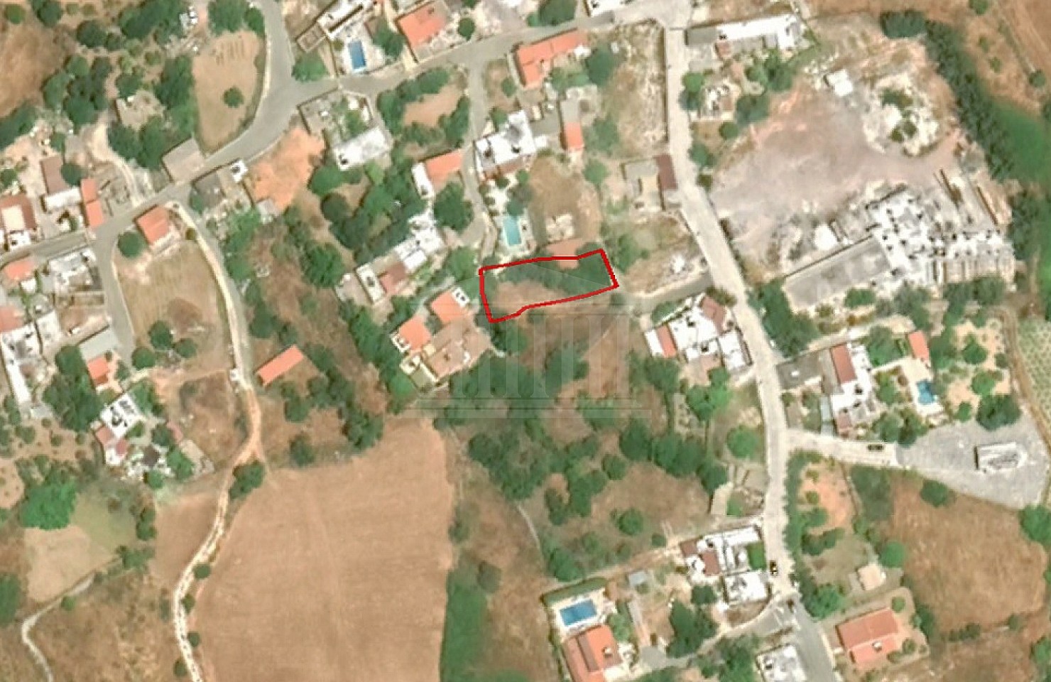 Share of Field in Kathikas, Paphos