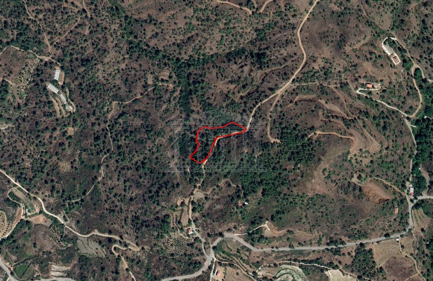 Field in Kato Platres, Limassol
