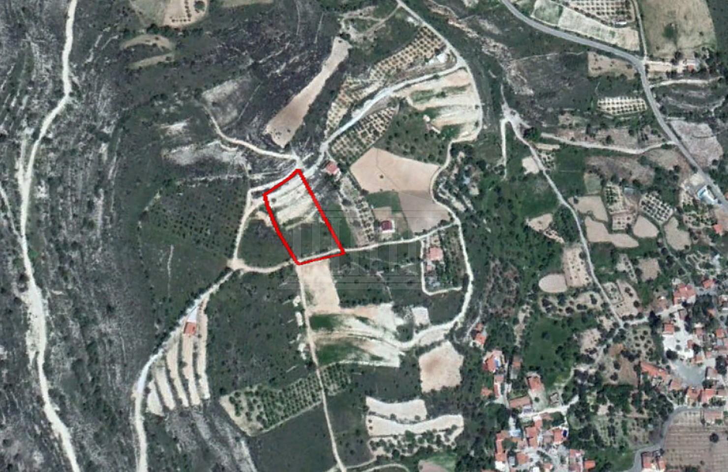 Share of a Field in Silikou, Limassol