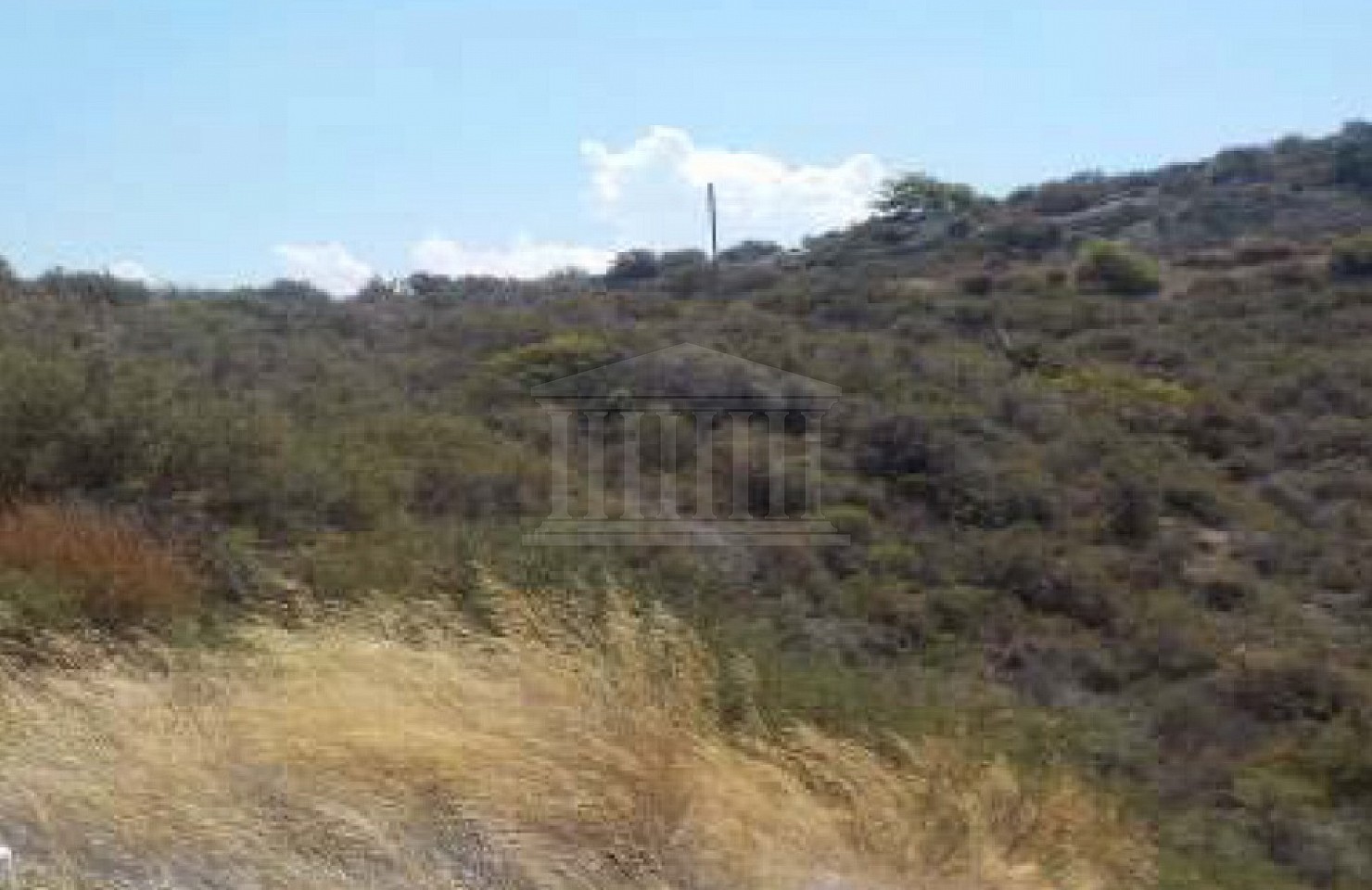 Field in Pigenia, Nicosia