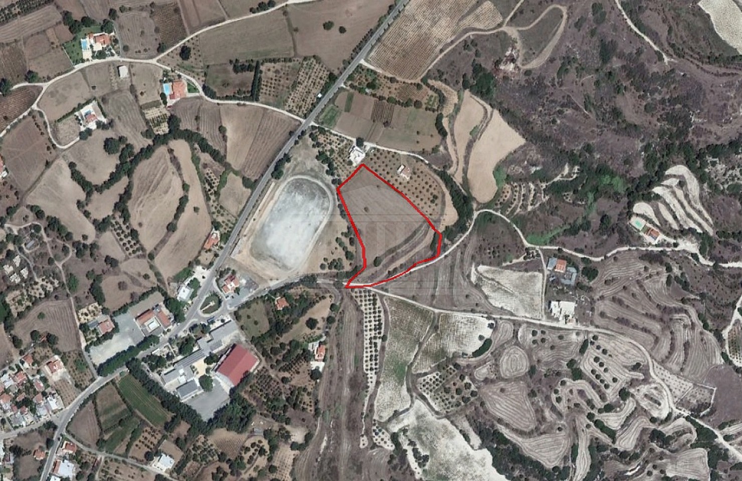 Field in Polemi, Paphos