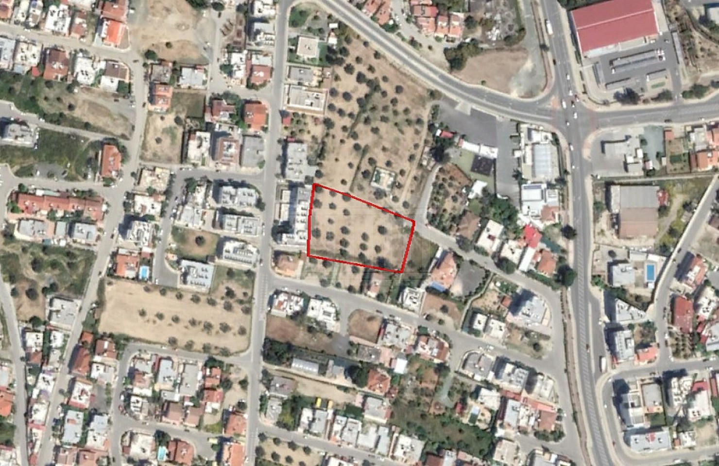 Share of Field in Latsia, Nicosia