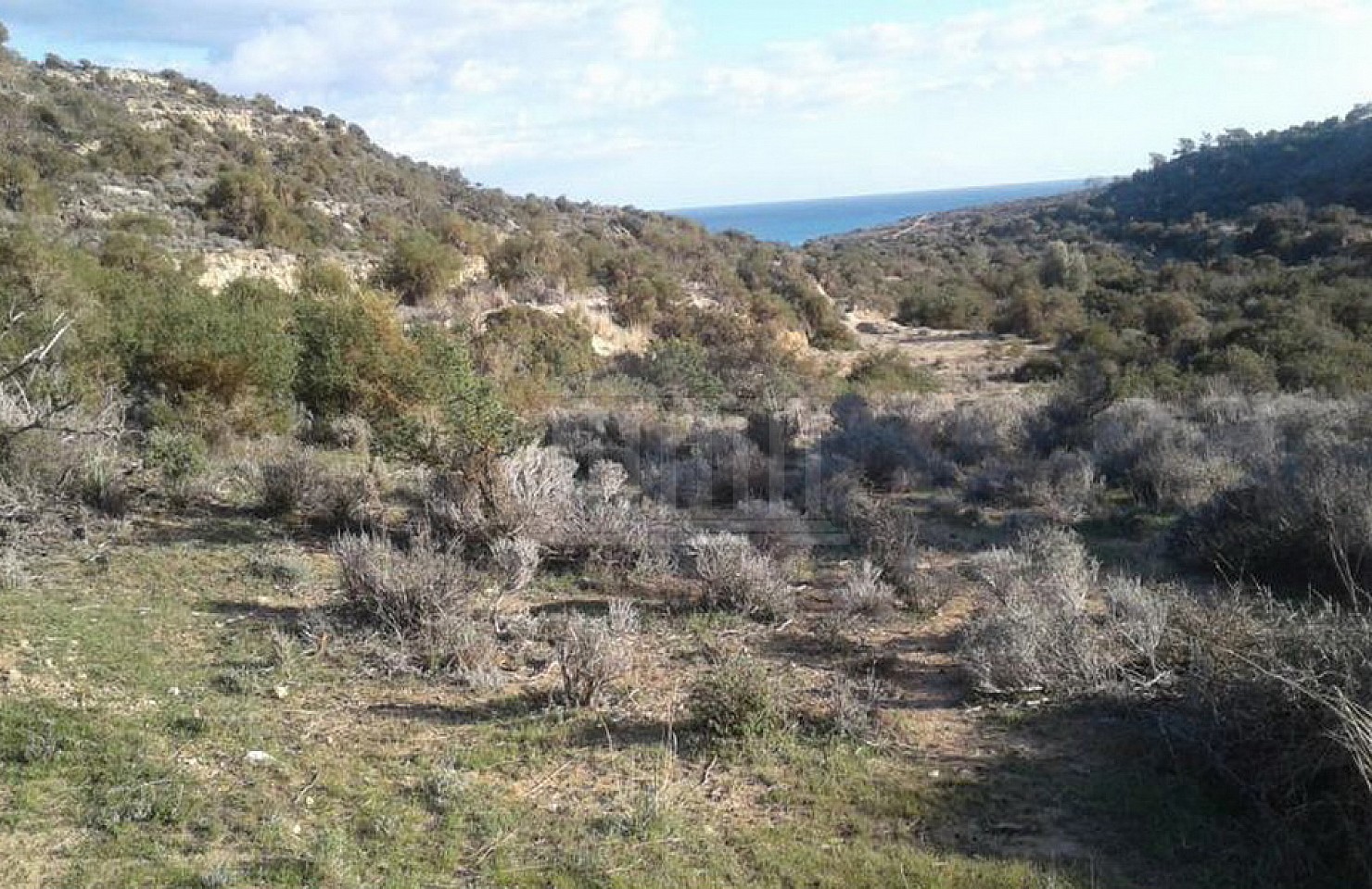 Two Adjoining fields in Pissouri, Limassol