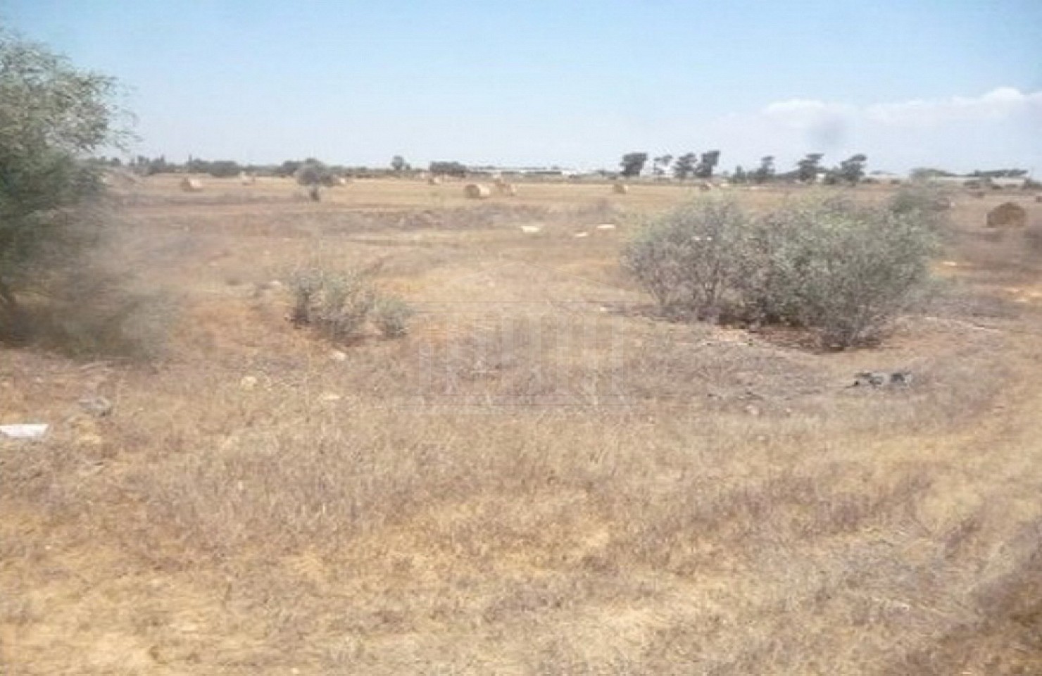 Two Fields in Liopetri, Ammochostos