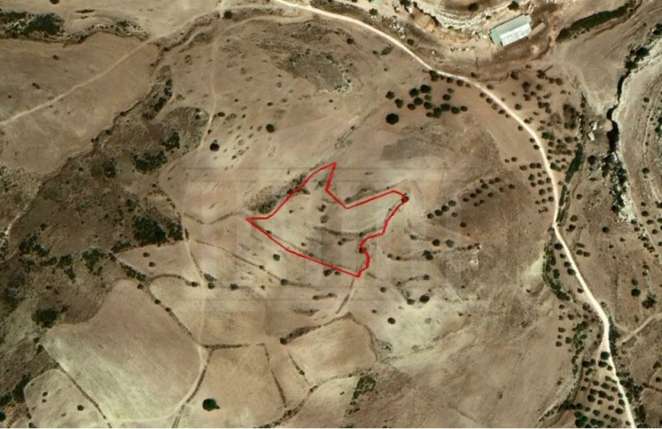 Field in Androlikou, Paphos