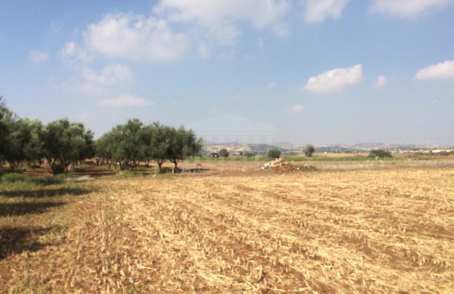Field in Alaminos, Larnaka