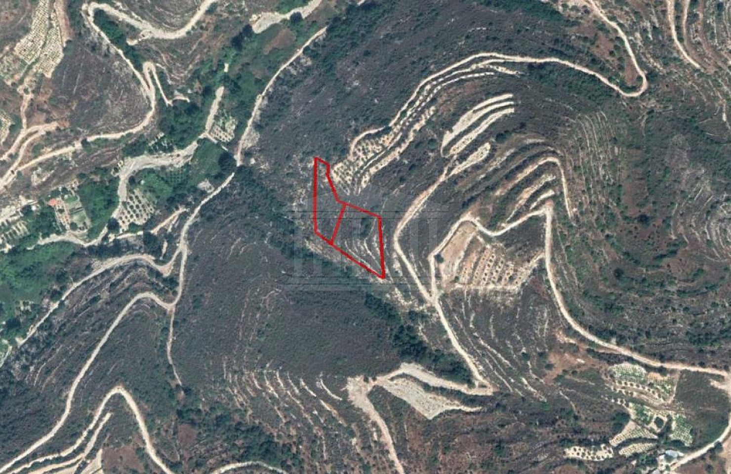 Field in Agios Therapon, Limassol