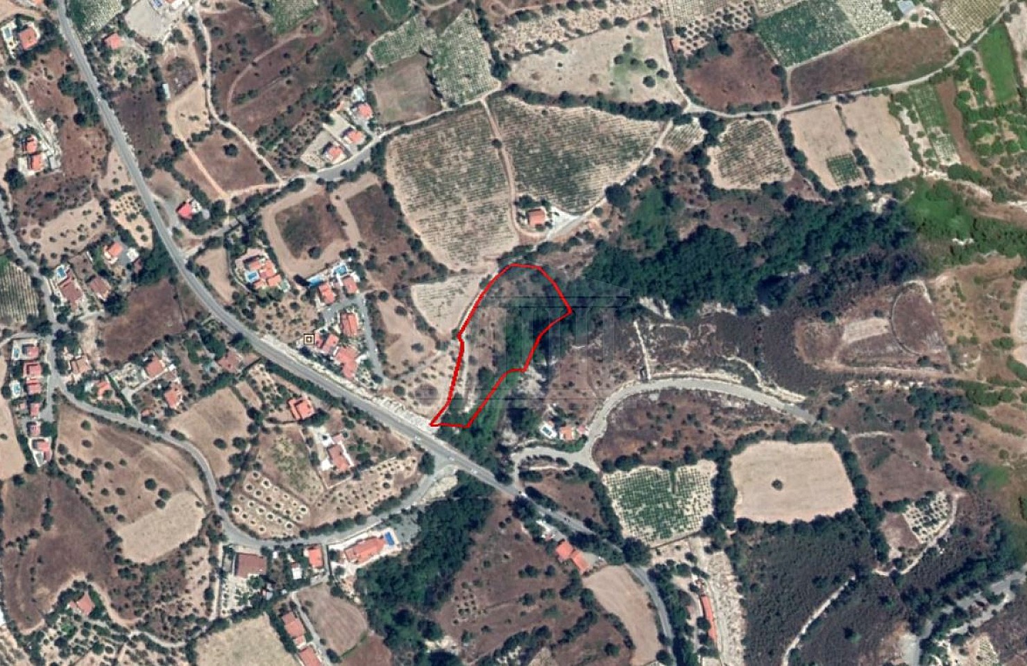 Field in Laneia, Limassol