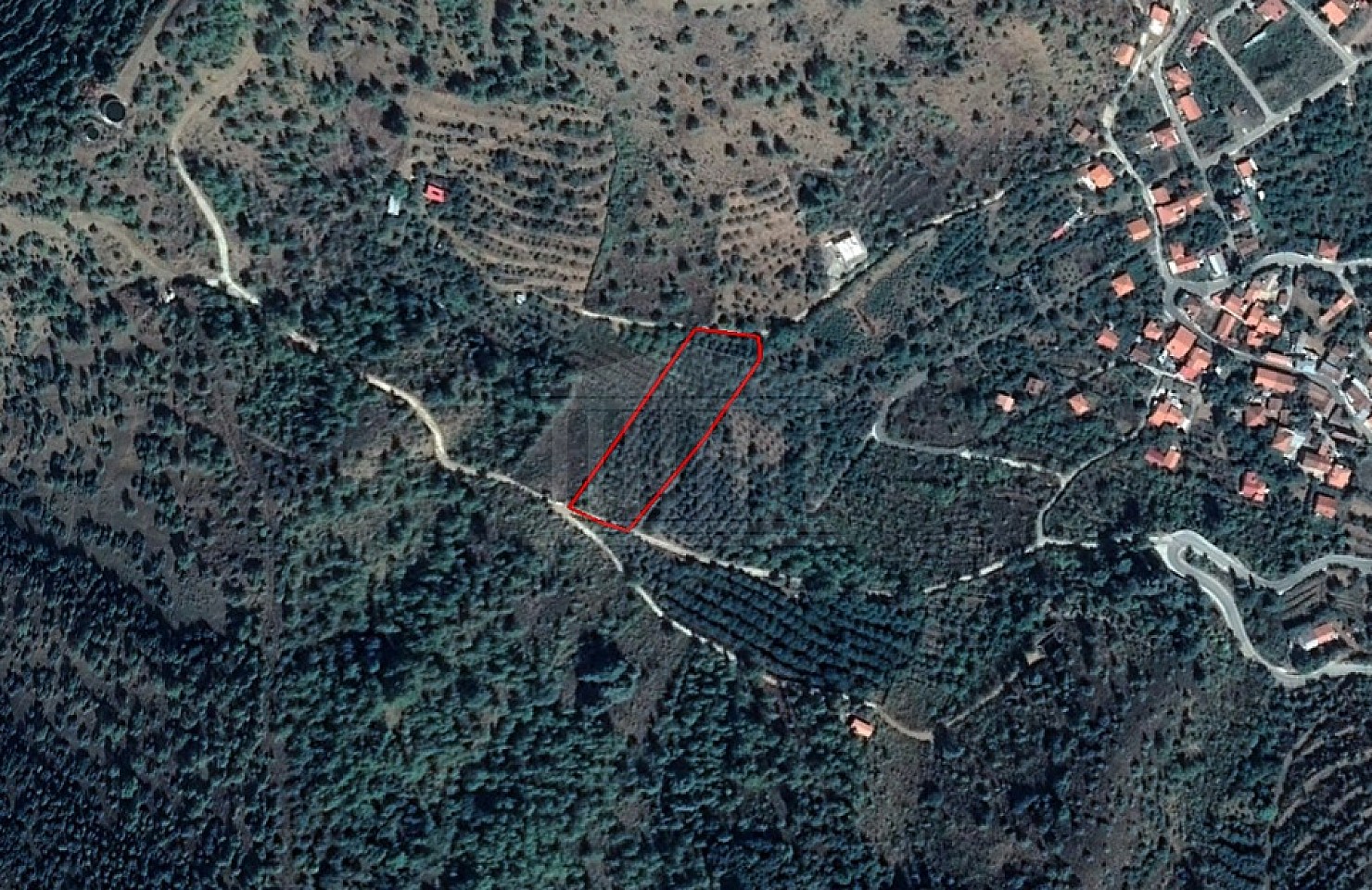 Share of Field in Tsakistra, Nicosia