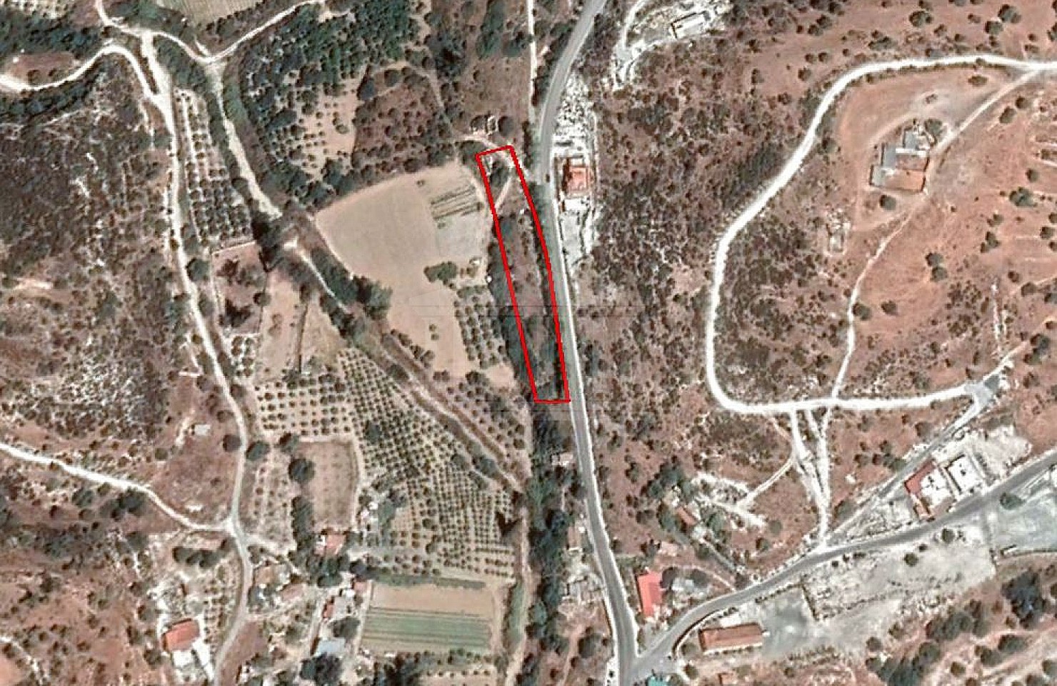 Field in Agios Theodoros, Larnaka