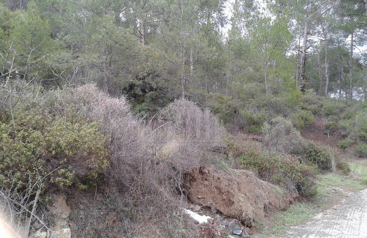 Field in Moniatis, Limassol