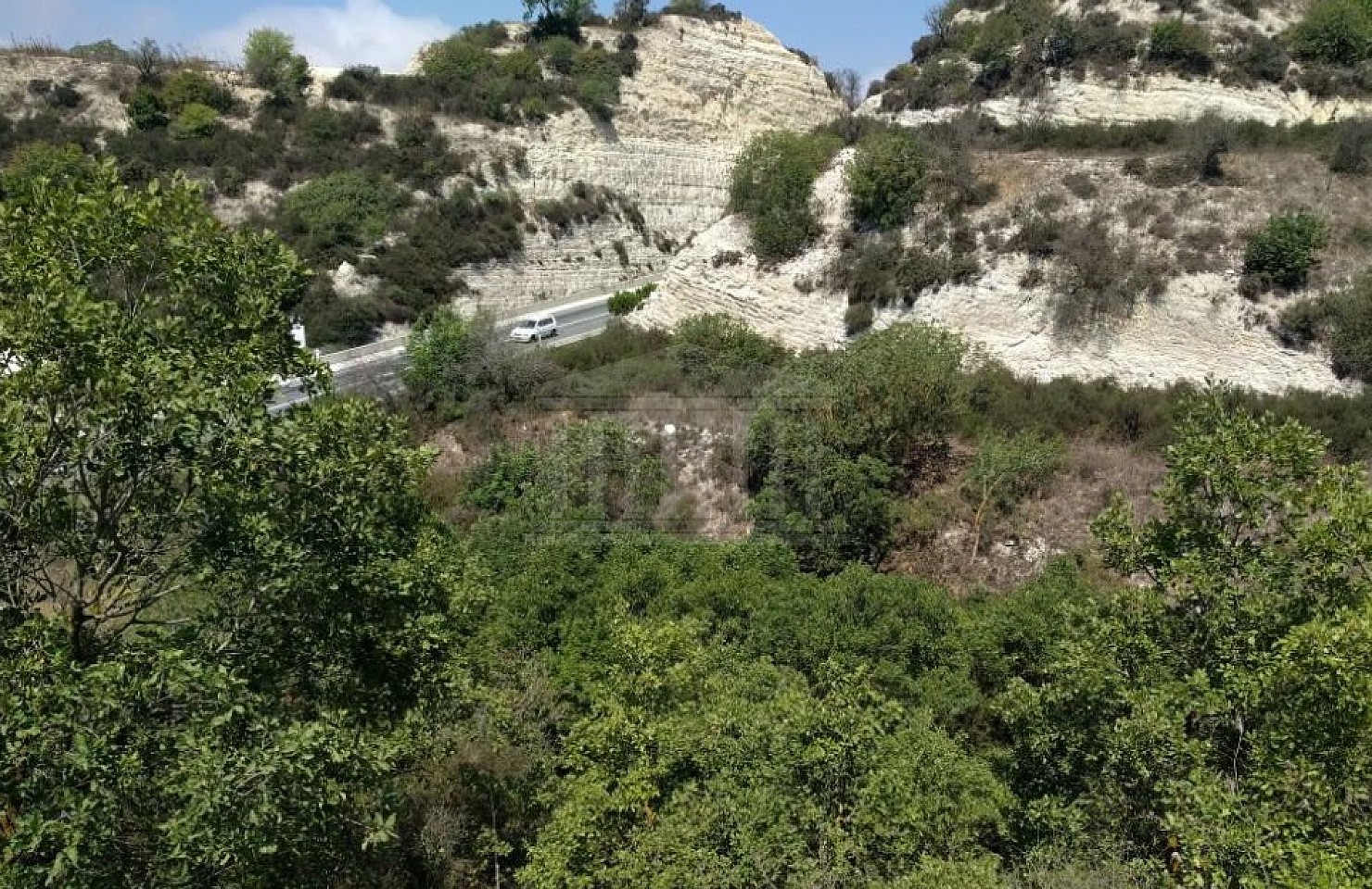 Field in Tsada, Paphos