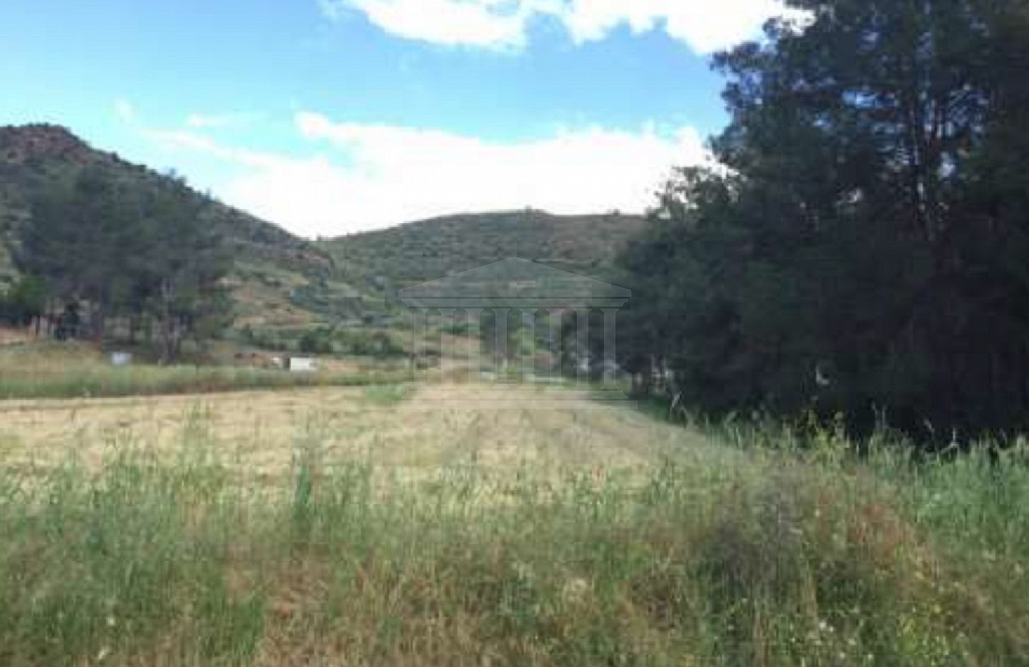 Field in Mosfiloti, Larnaka