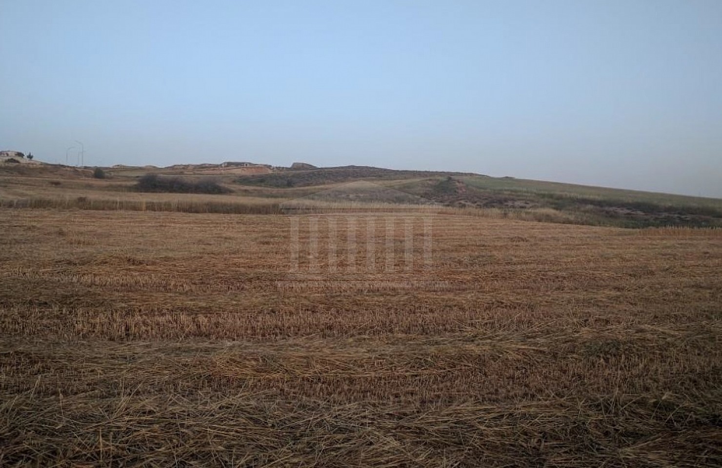 Field in Panagia Evangelistria, Dali, Nicosia