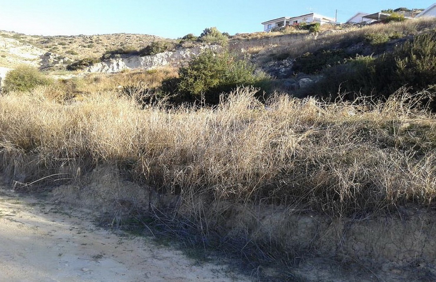 Field in Pissouri, Limassol