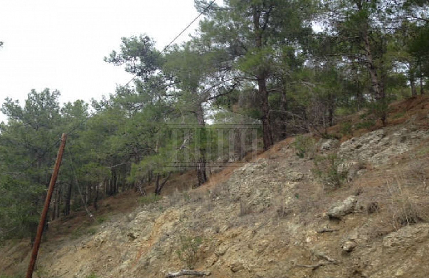 Seven Fields and Plots in Moniatis, Limassol