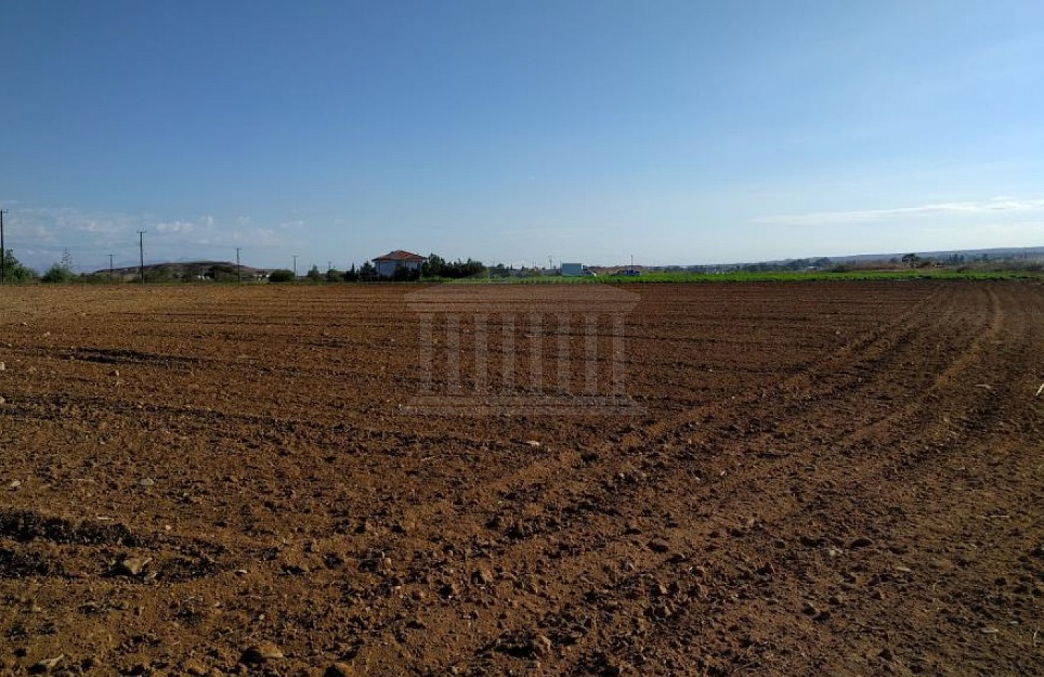 Two Fields in Pano Deftera, Nicosia