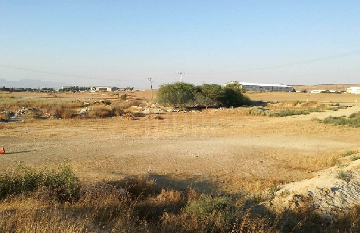 Field in Dali, Nicosia