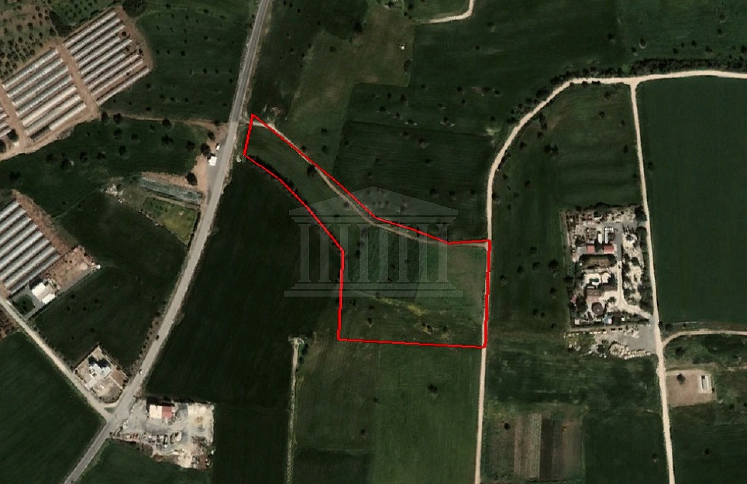 Field in Mazotos, Larnaka
