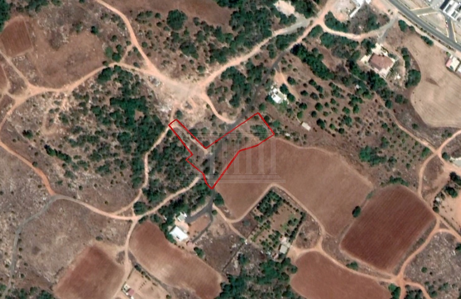 Field in Paralimni, Ammochostos