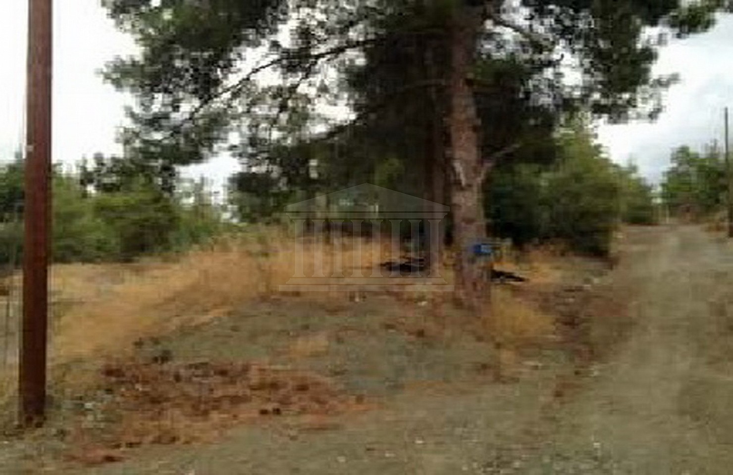 Field in Moniatis, Limassol