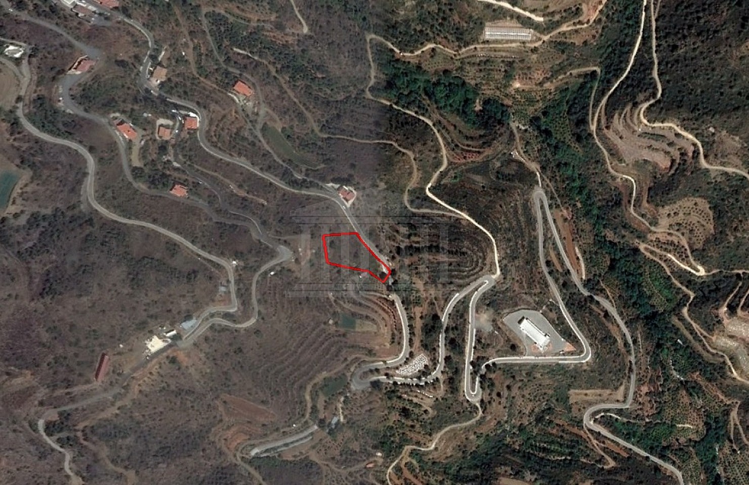 Share of Field in Odou, Larnaka
