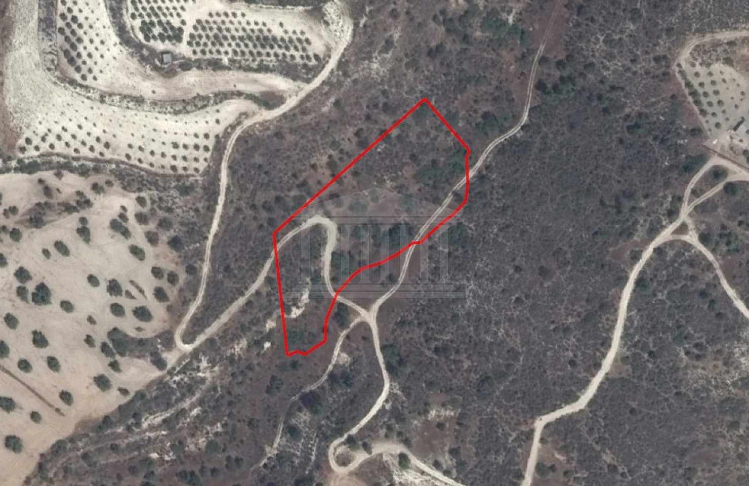 Field in Kalavasos, Larnaka