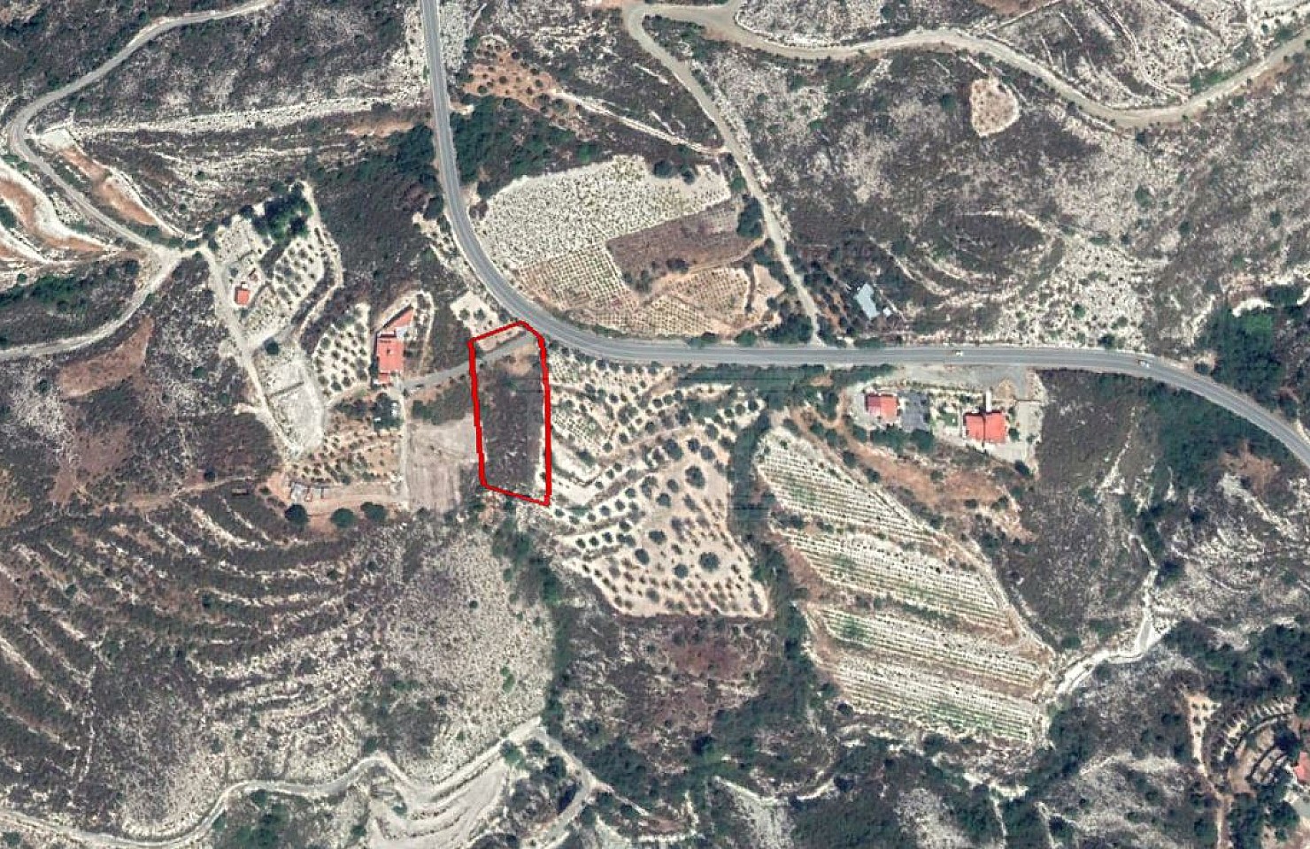 Field in Laneia, Limassol