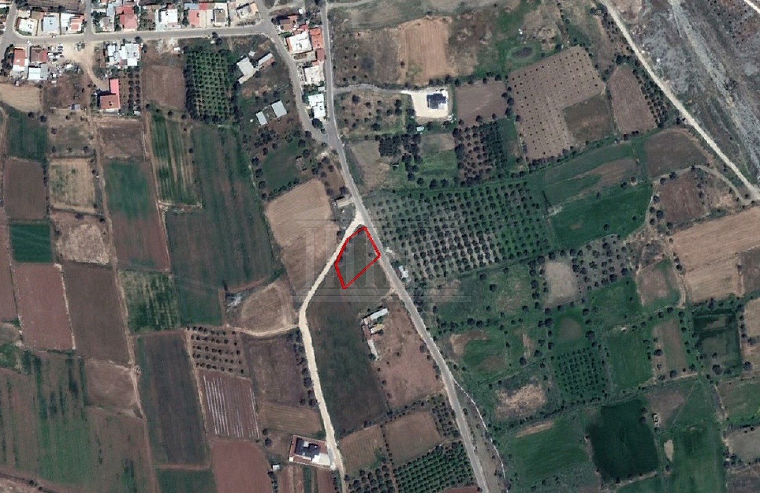 Share of Field in Peristerona, Nicosia