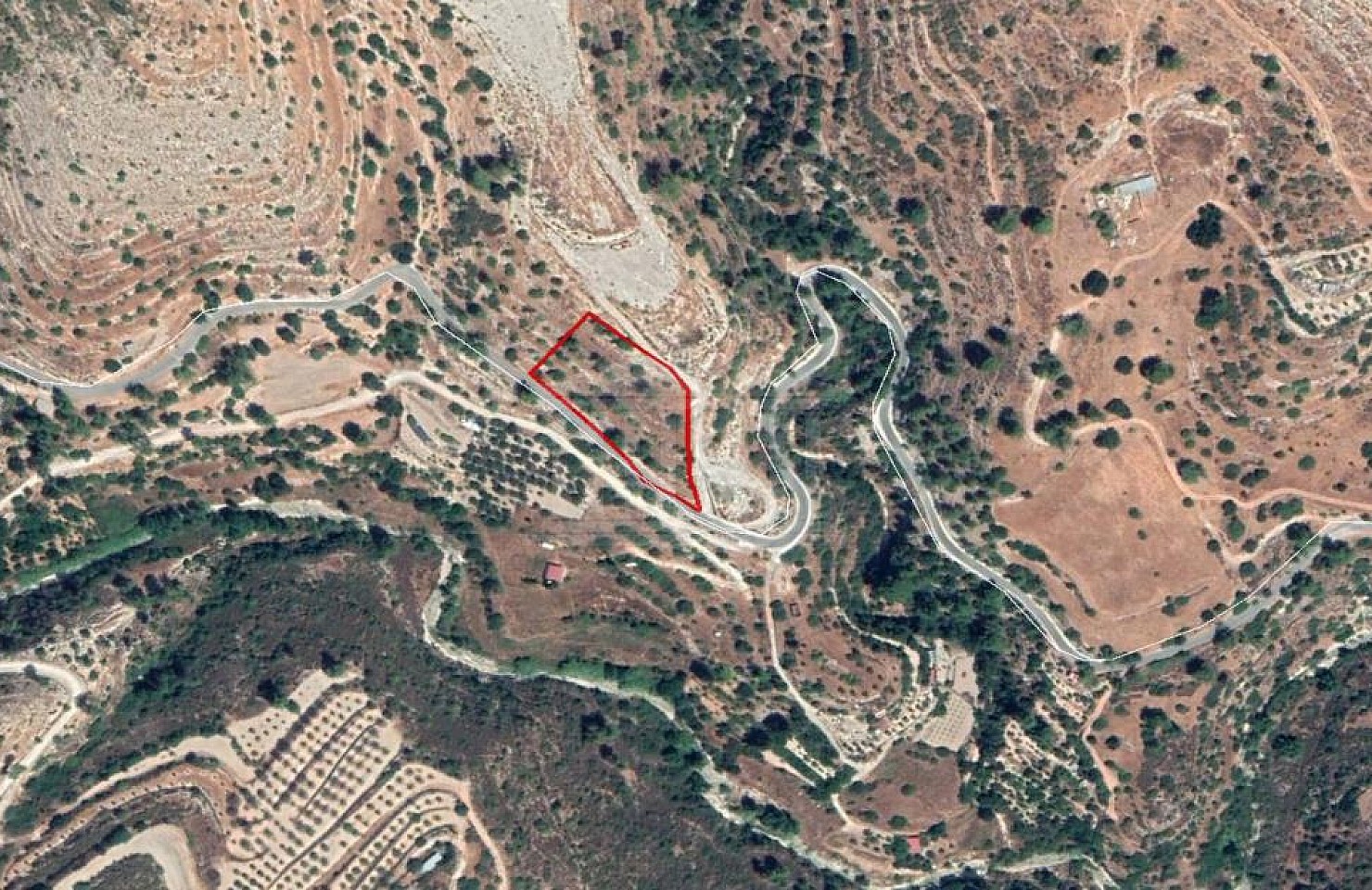 Field in Agios Therapon, Limassol