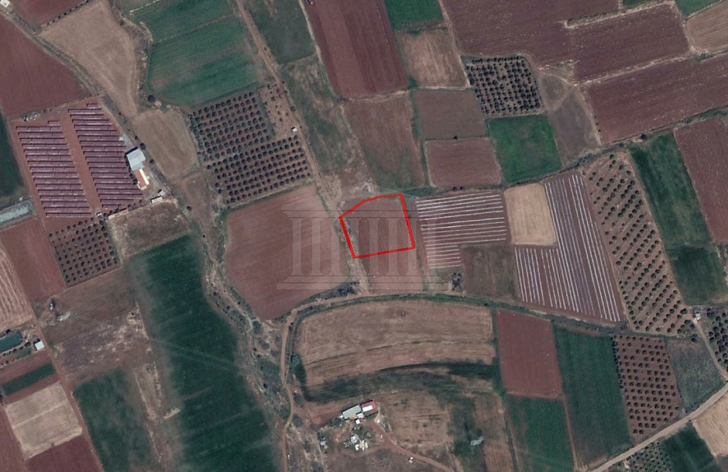 Field in Peristerona, Nicosia
