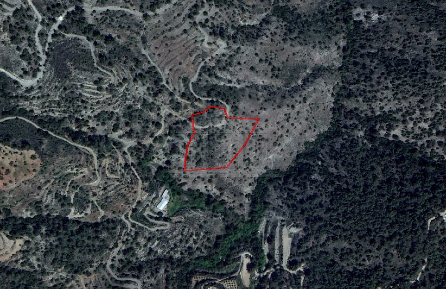 Field in Louvaras, Limassol