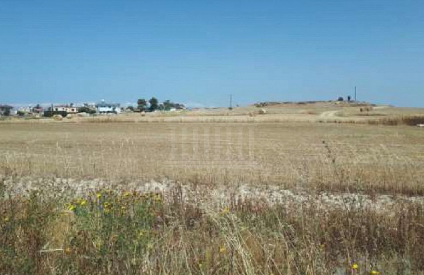Field in Athienou, Larnaka