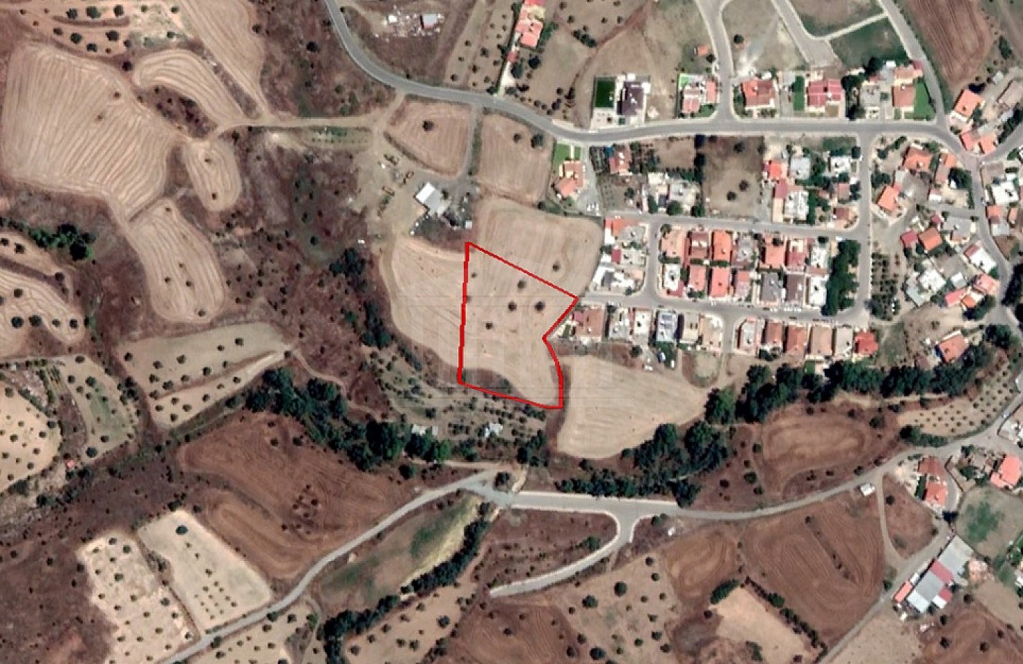 Field in Analiontas, Nicosia