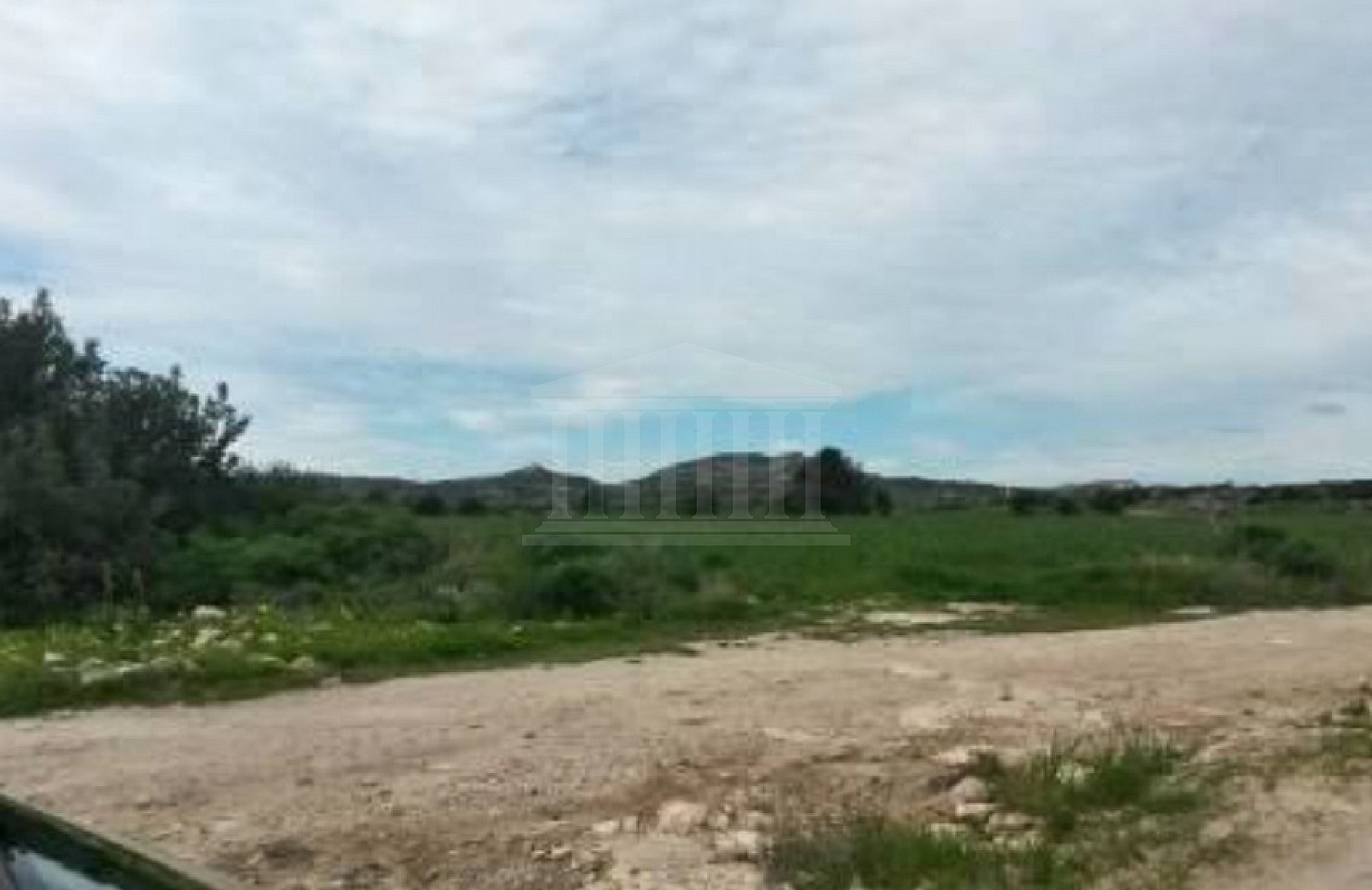 Two Fields in Agios Theodoros, Larnaka