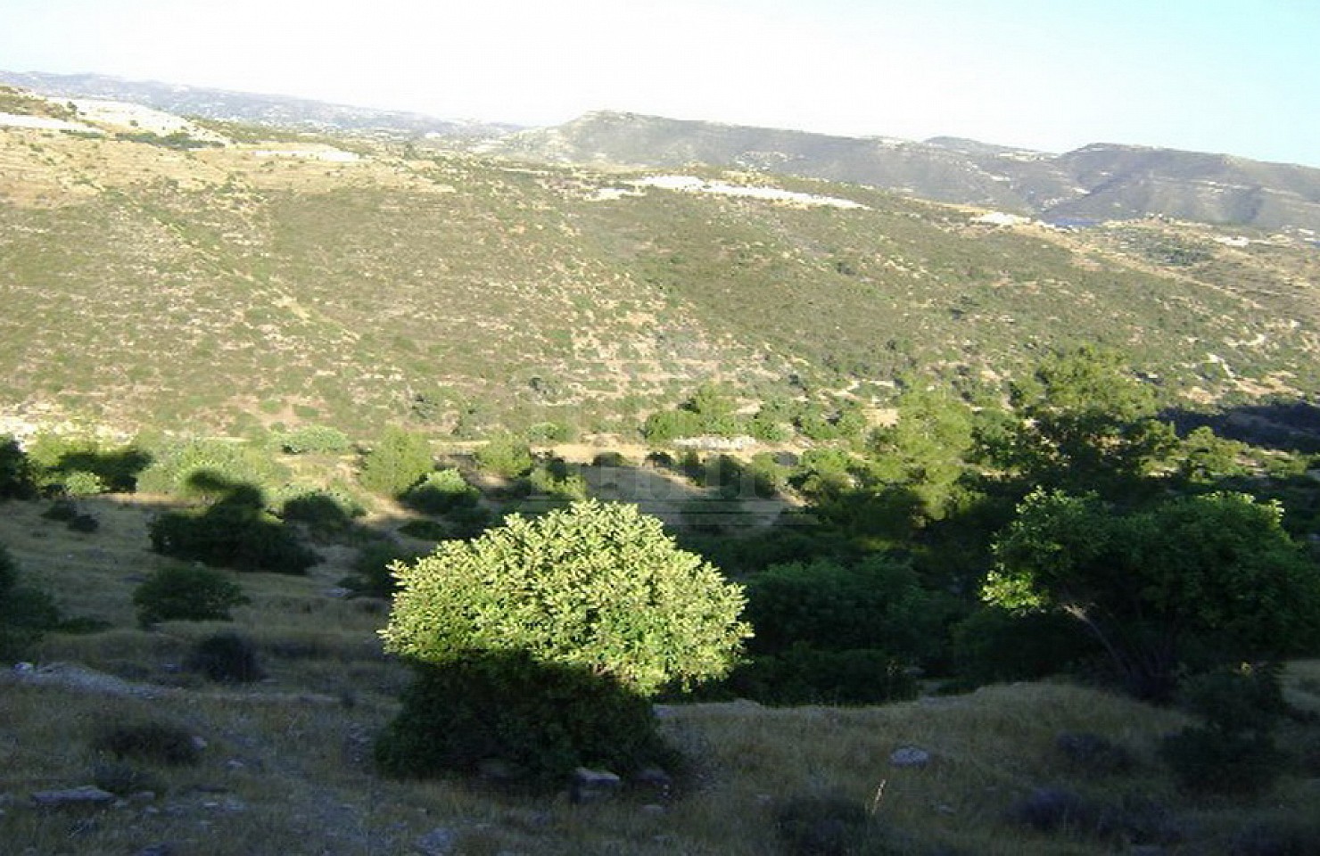 Field in Monagri, Limassol