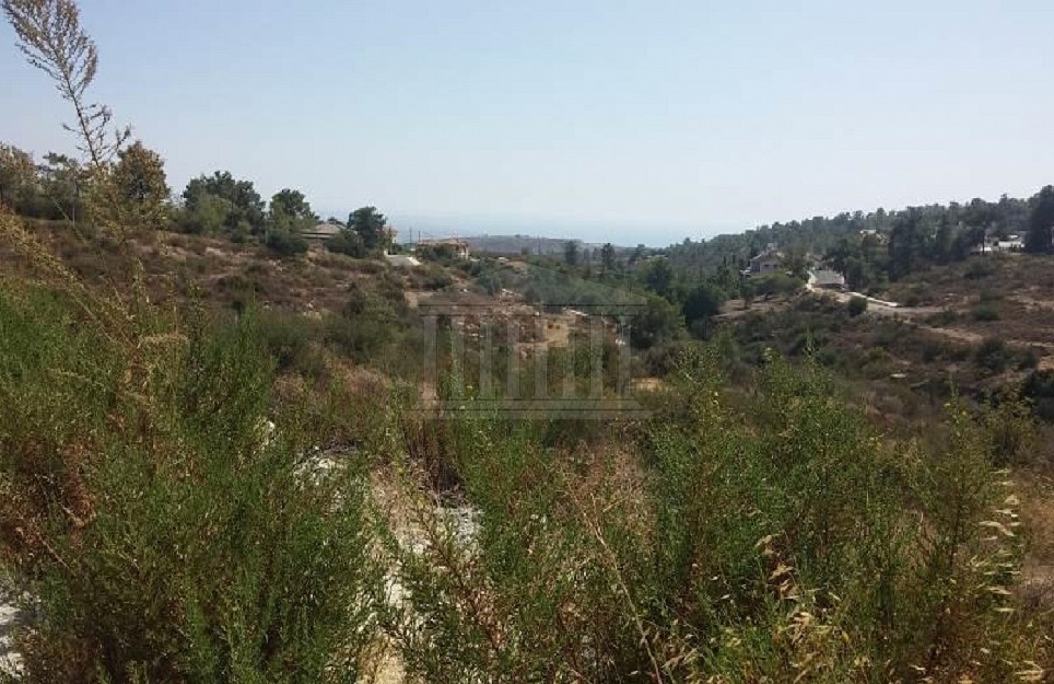 Field in Souni Zanakia